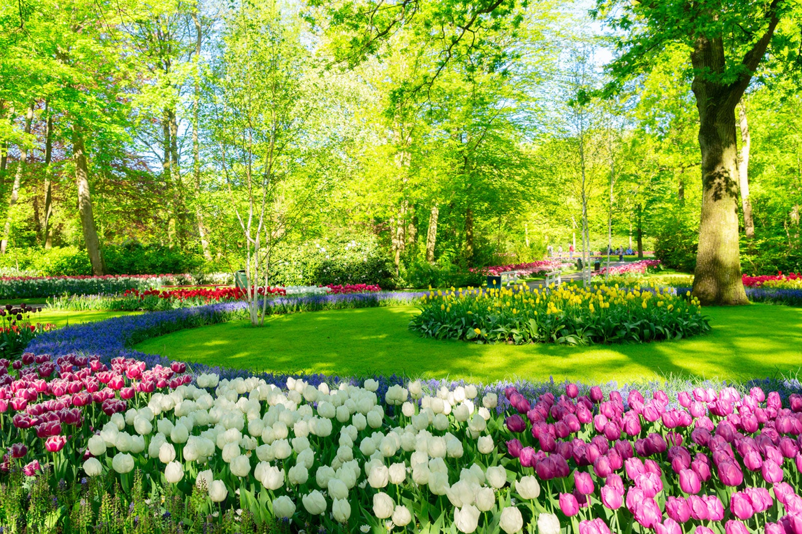 How to Create a Beautiful Garden: A Step-by-Step Guide